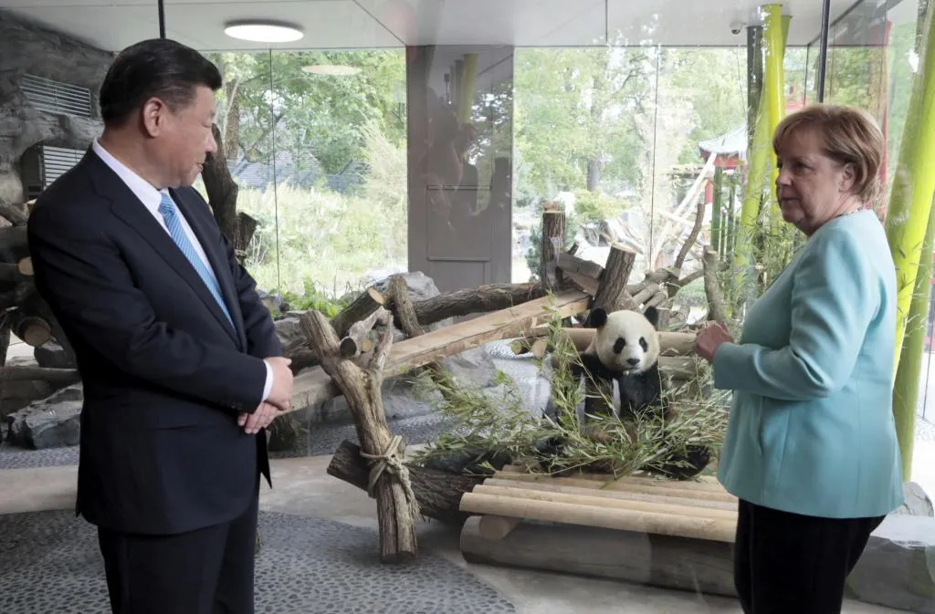 china to germany panda